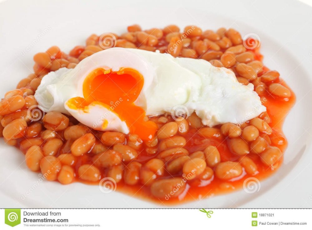 poached-egg-baked-beans-18871021.jpg