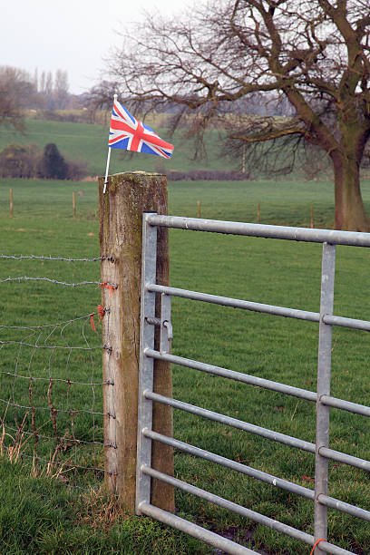 Referee steps down for bigoted posts - The Terrace - Jambos Kickback