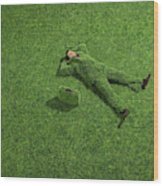 young-busienss-man-wearing-suit-made-of-grass-laying-on-lawn-elevated-view-symphonie.jpg.931ec3d4be0419d3980608e4e1d90f89.jpg