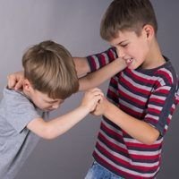 aggressive-behavior-in-young-children1-200x200.jpg.543b8849454163de8ac69066f2bb3368.jpg