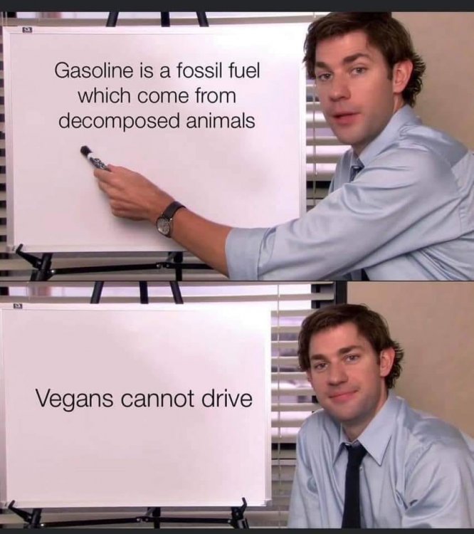 vegan fuel.jpg