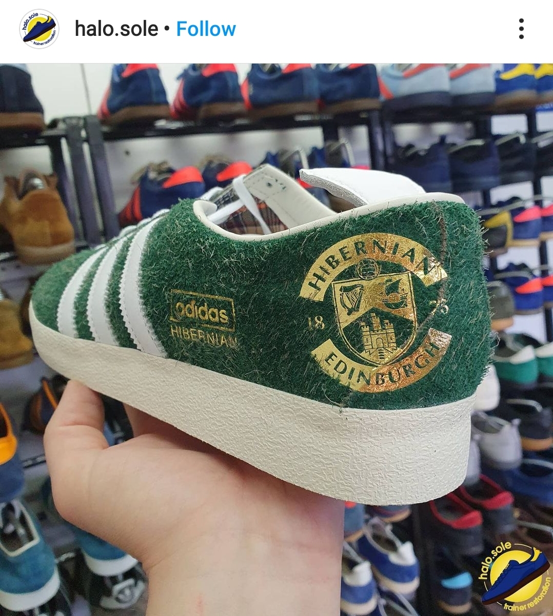 Adidas sales hibs top