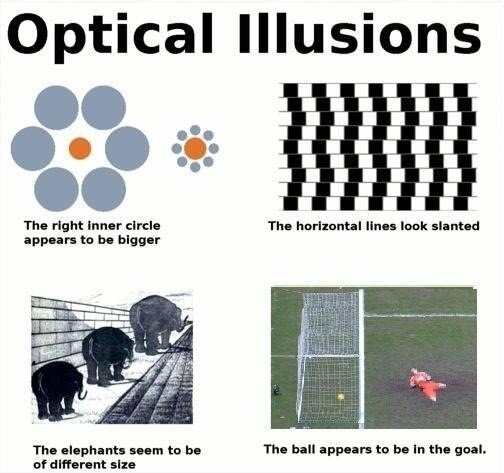 Optical Illusions.jpg