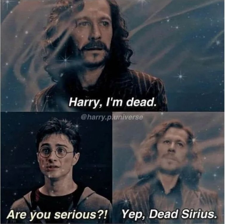 Harry-Potter-meme-3.jpg