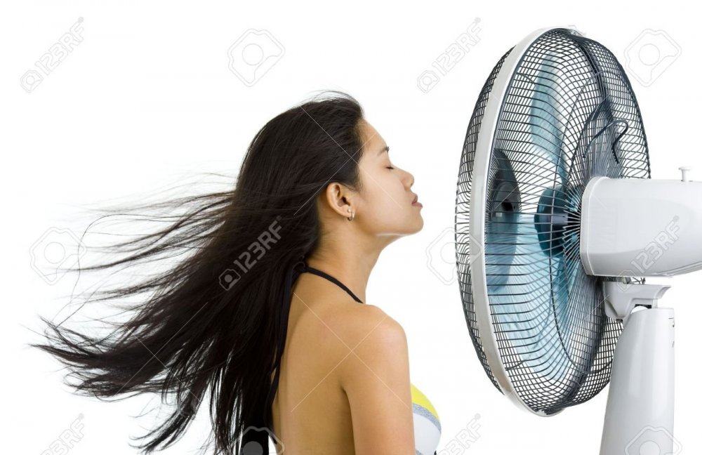 7369224-pretty-woman-enjoying-fan-blowing-from-front-right-side-isolated-on-white-background.jpg
