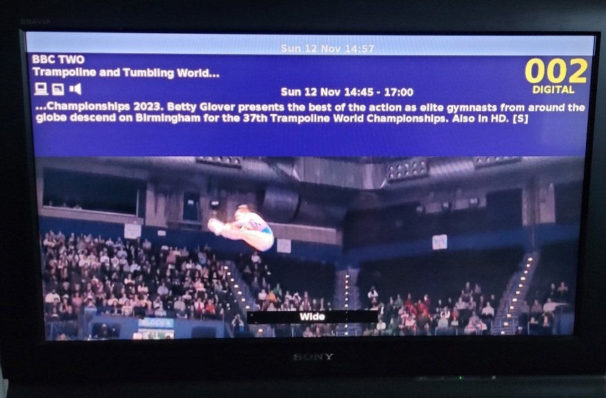 Trampolining - The Shed - Jambos Kickback