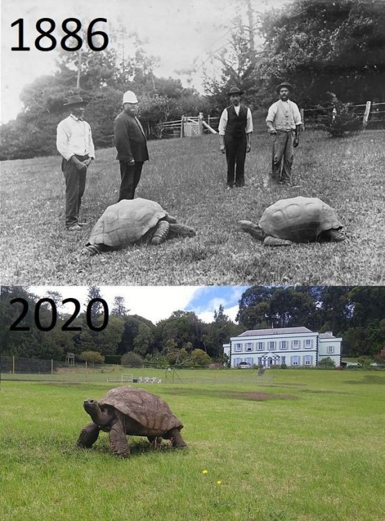 20240614_194958.jpg