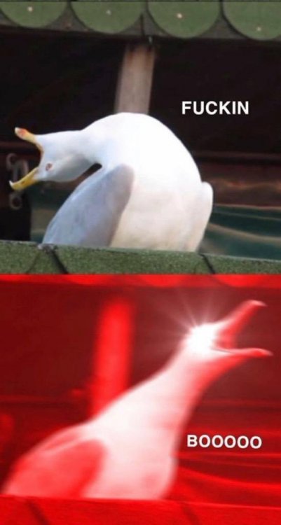 20230730_101627.thumb.jpg.bd3dd4333f7e8bdaa646d72321e7f15d.jpg