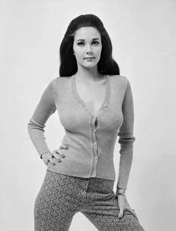 lynda-carter-lynda-carter-44090206-640-840.thumb.jpg.7bc28db30fbf7304499478ecbae8db8b.jpg