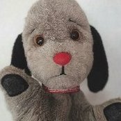 Nookie Bear