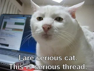 image.png.199cf0ff8436918d77e31f6a6db34b0b.png