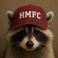 Maroon Raccoon