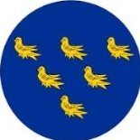 Jambo Seagull
